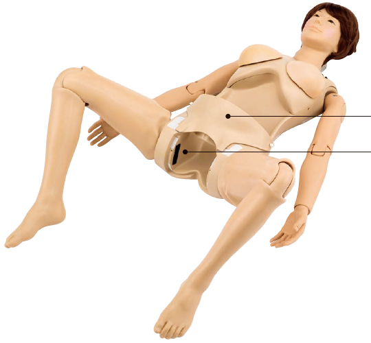 KOKEN Full-Body Pregnancy Simulator II